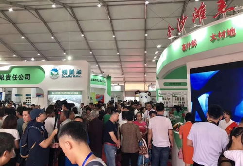 中天羊業(yè)榮獲中國十佳羊肉品牌